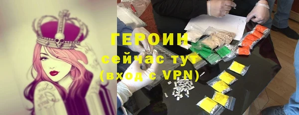 гидра Кодинск