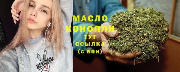 гидра Кодинск