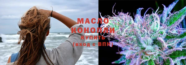 гидра Кодинск
