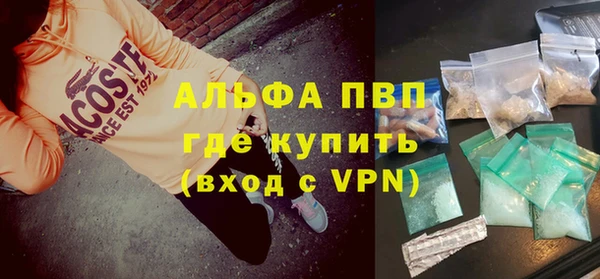 гидра Кодинск
