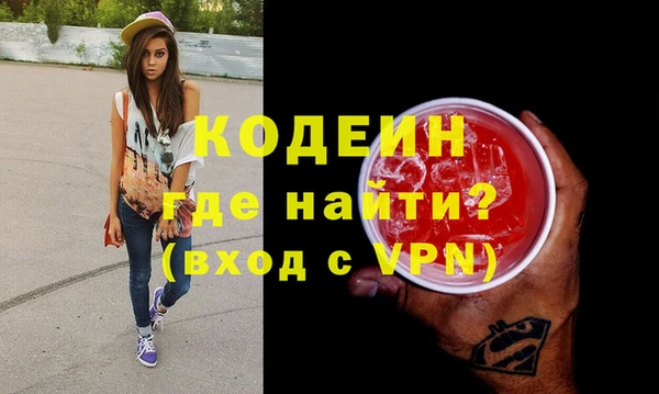 гидра Кодинск