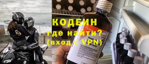 гидра Кодинск