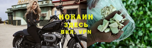 гидра Кодинск
