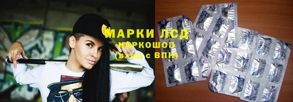 хмурый Корсаков