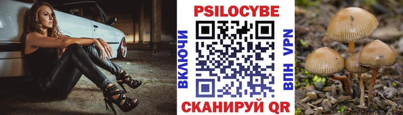 Галлюциногенные грибы Cubensis  Купить где  Мантурово 